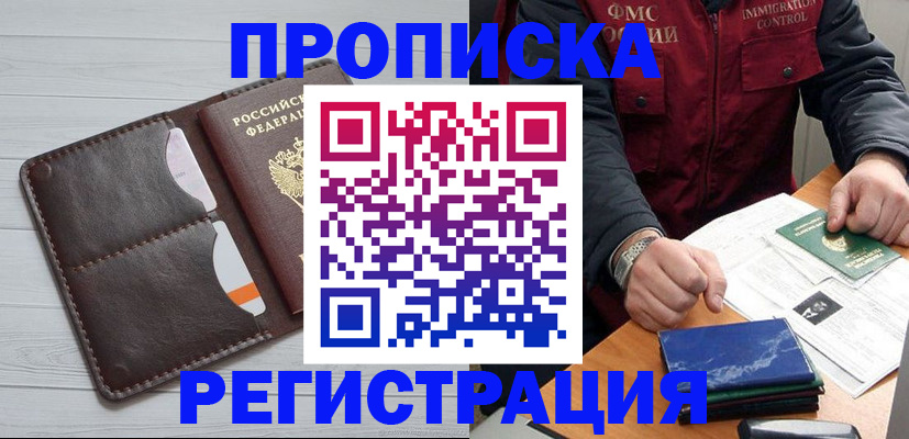 прописка 2025 в Новосибирской области